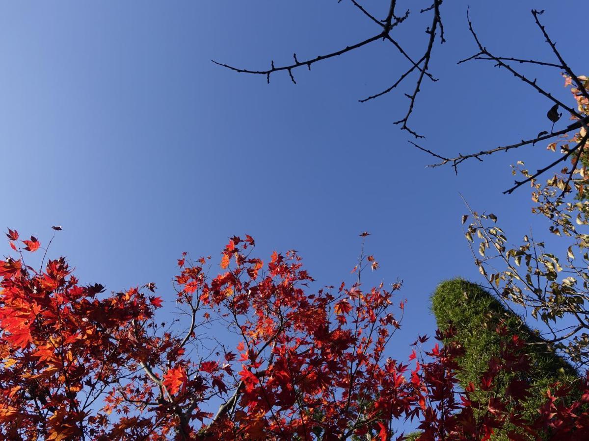 佐久市おいまつえんアパートメント エクステリア 写真